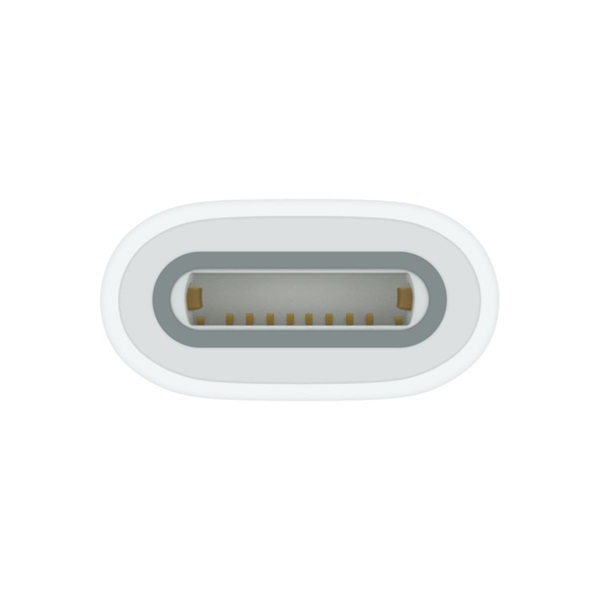 Apple USB C - Apple Pencil adapter