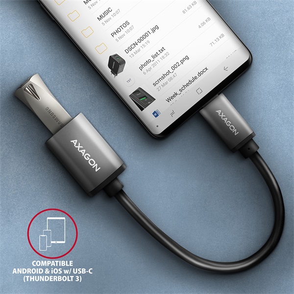 Axagon RUCM-AFAC USB-C - USB A adapter