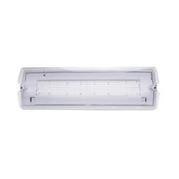 Iris Lighting I820EMEX3H3W IP65 3w 3h oldalfali biztonsági és irányfény lámpatest