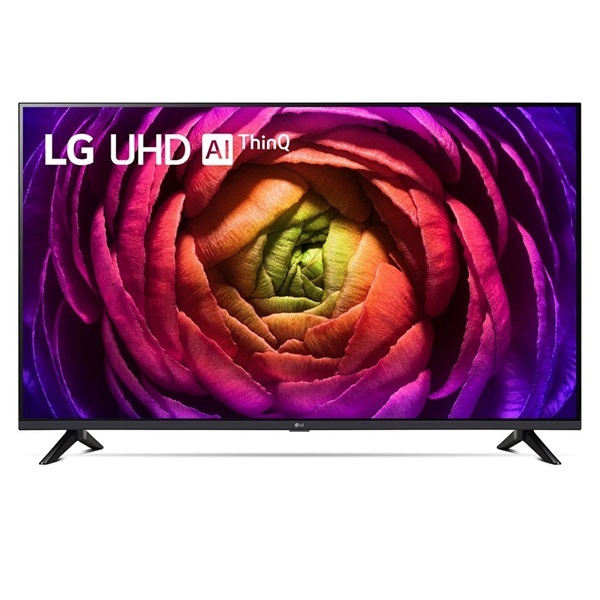 LG 65" 65UR73003LA 4K UHD Smart LED TV