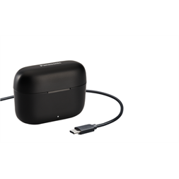 Panasonic RZ-B110WDE-K True Wireless Bluetooth fekete fülhallgató