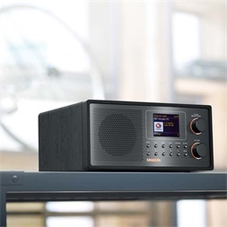 Sangean WFR-30 DAB+/FM-RDS/Network Music Player internet rádió